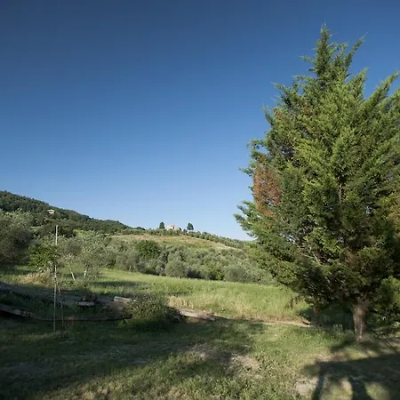 La Pieve Pelago