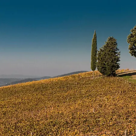 La Pieve Pelago